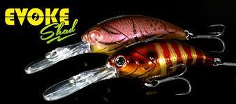 DEPS EVOKE SHAD/MR