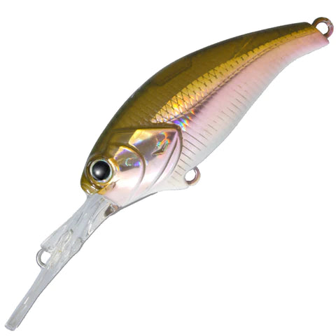 DEPS EVOKE SHAD/MR
