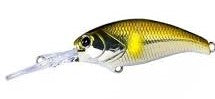 DEPS EVOKE SHAD/MR