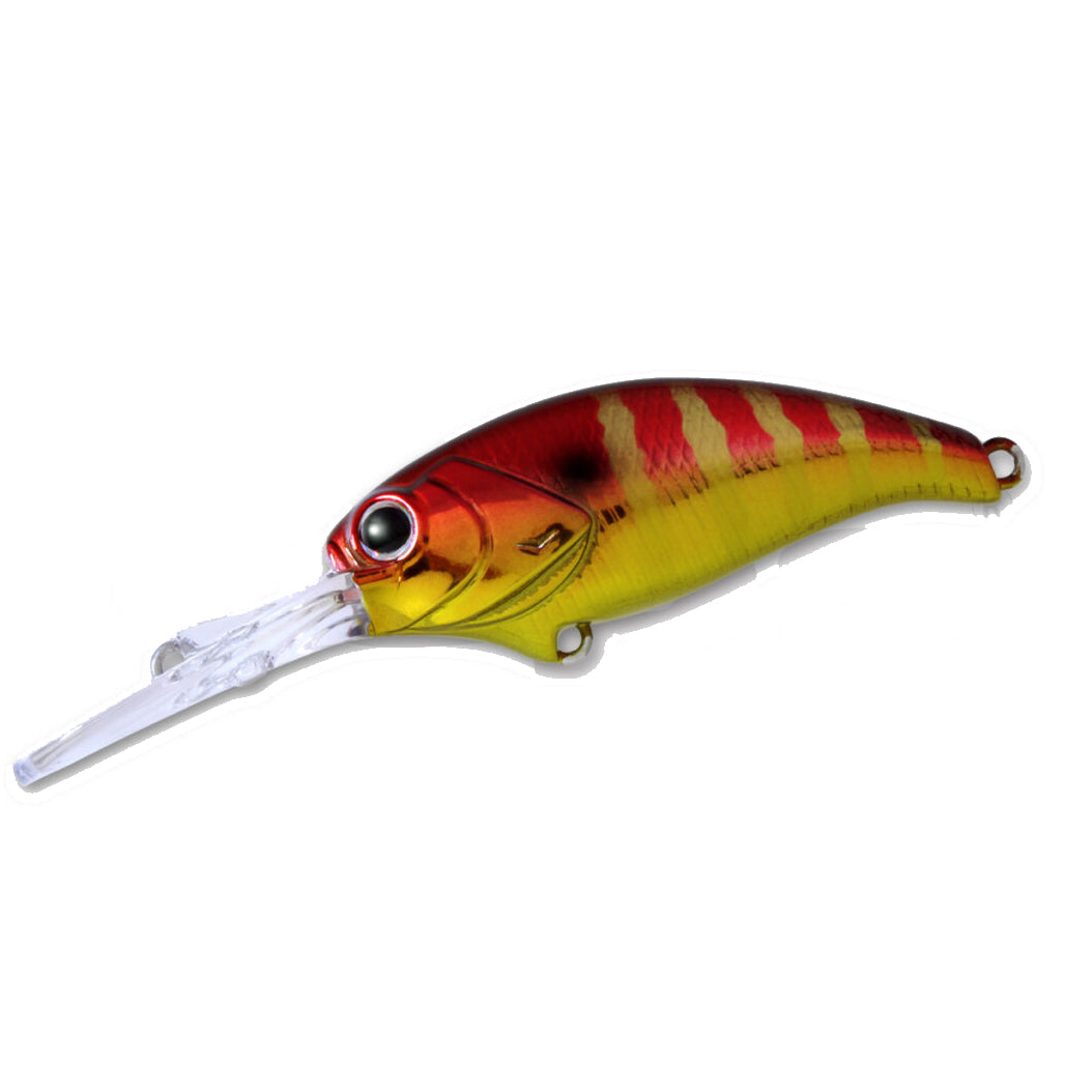 DEPS EVOKE SHAD/MR