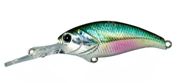 DEPS EVOKE SHAD/MR